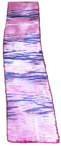 Seidensamtschal
