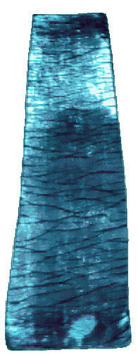 Seidensamtschal