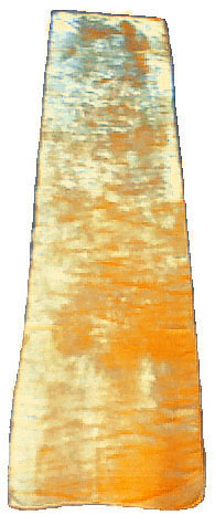 Seidensamtschal