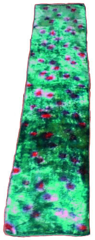 Seidensamtschal