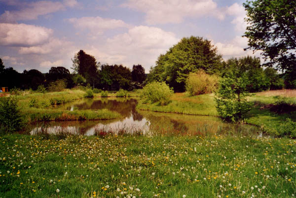 Angelverein Grünhof Tesperhude